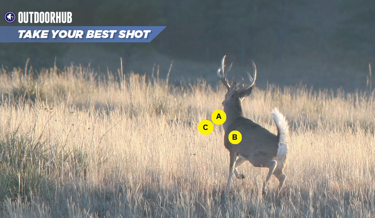 Tuesday’s Take Your Best Shot: Running Whitetail | OutdoorHub