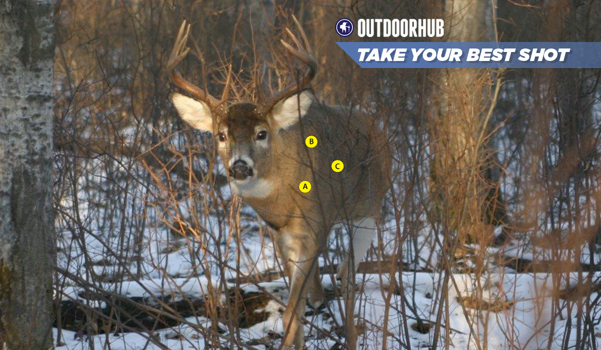 Tuesday’s Take Your Best Shot: Rutting Whitetail | OutdoorHub