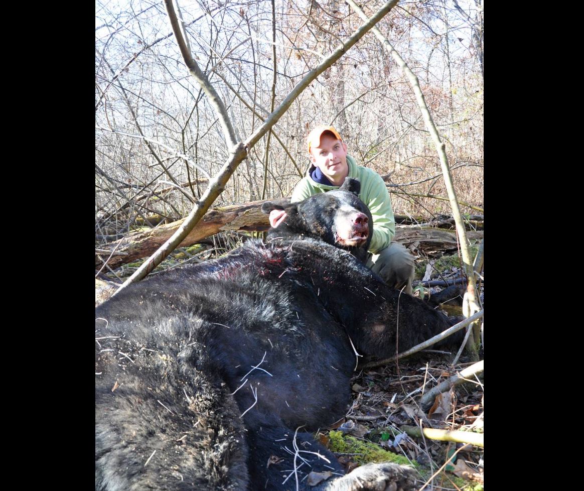 Bowhunter Shoots 740-Pound Black Bear From The Ground At 7 Yards ...