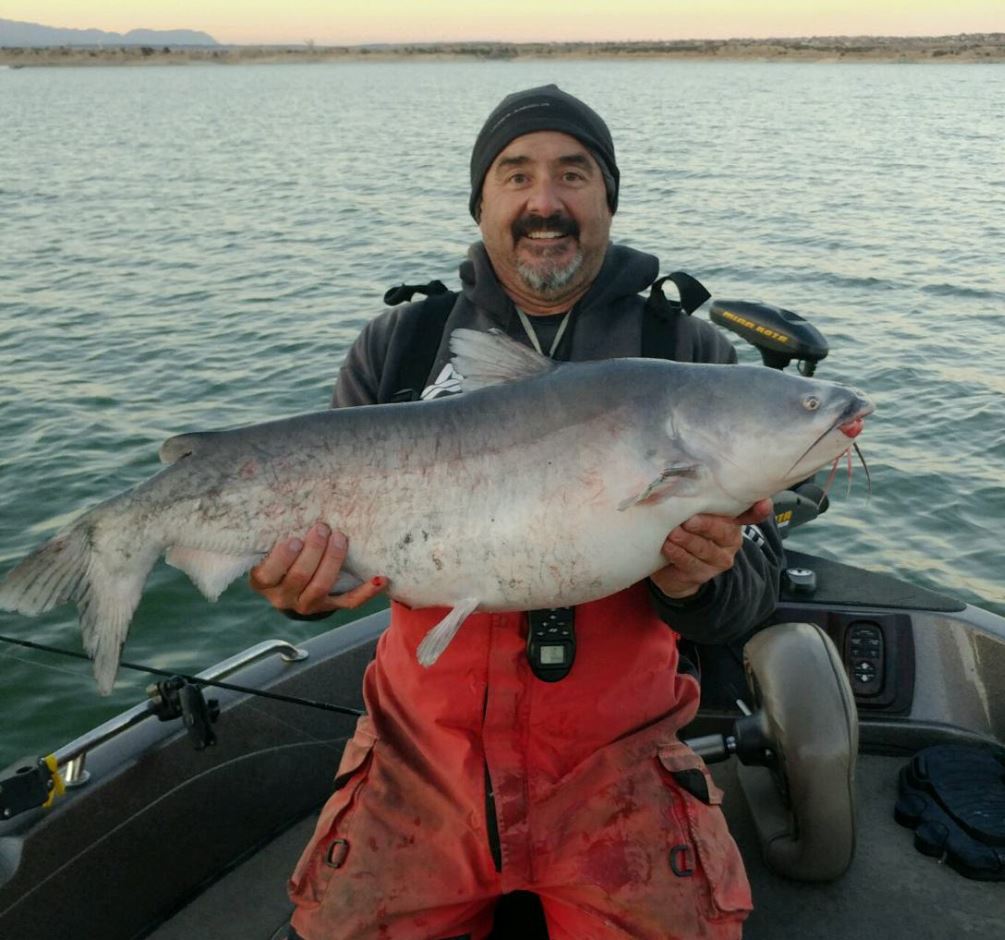 Man Catches New State Record Blue Catfish | OutdoorHub