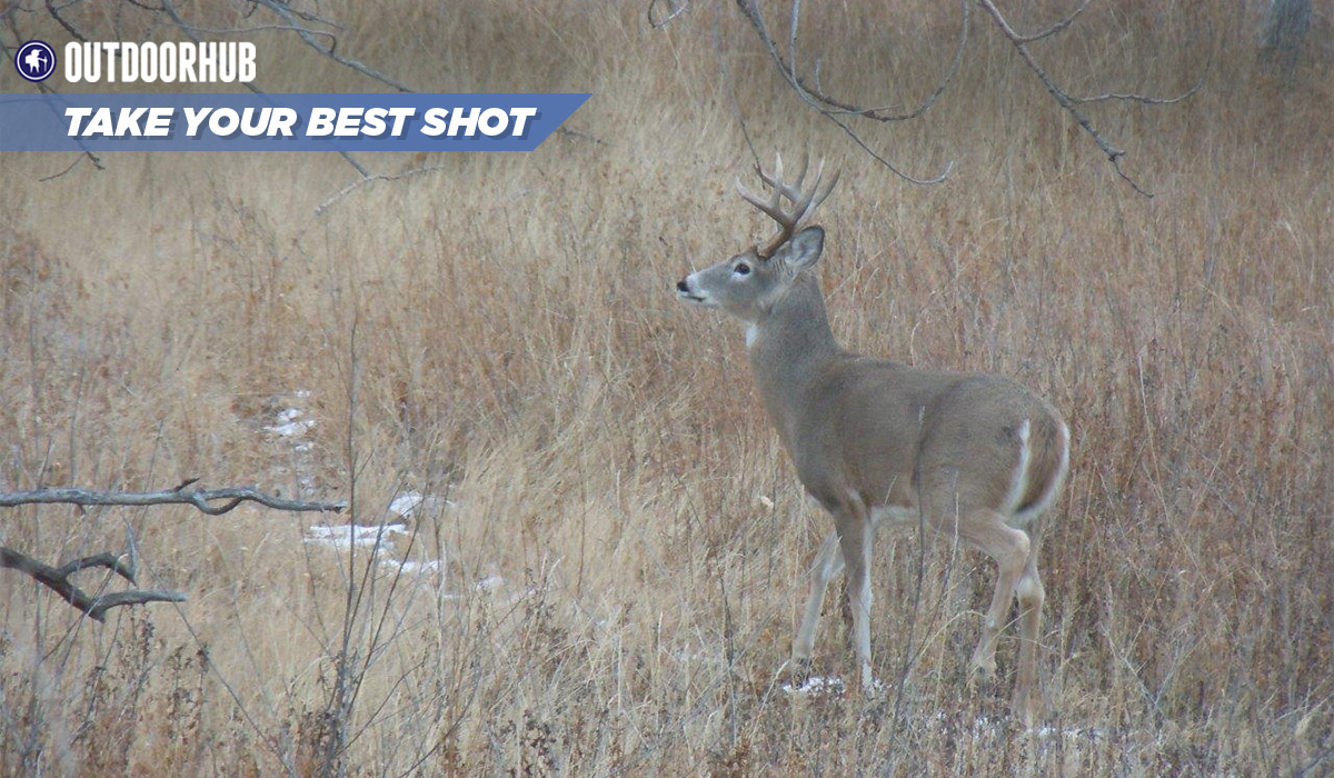 Tuesday’s Take Your Best Shot: Muzzleloader Whitetail | OutdoorHub