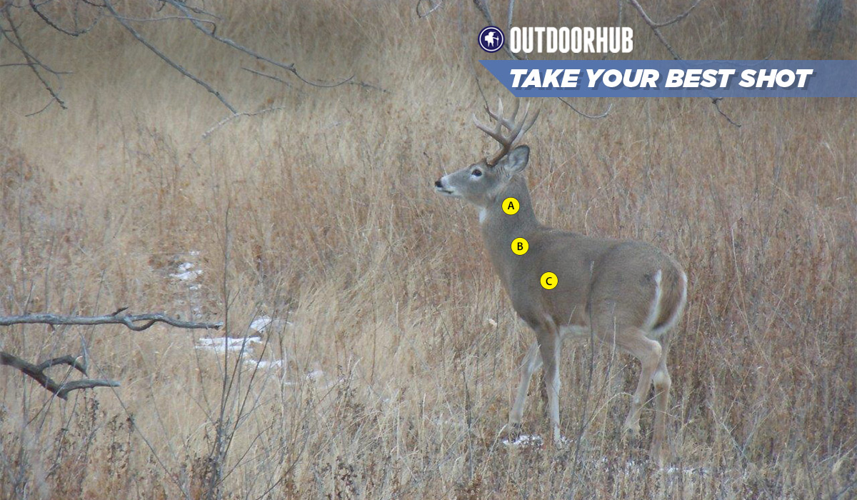 Tuesday’s Take Your Best Shot: Muzzleloader Whitetail 