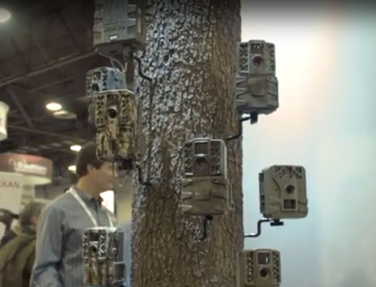 Moultrie Game Cameras are Ideal for Gathering Accurate Field