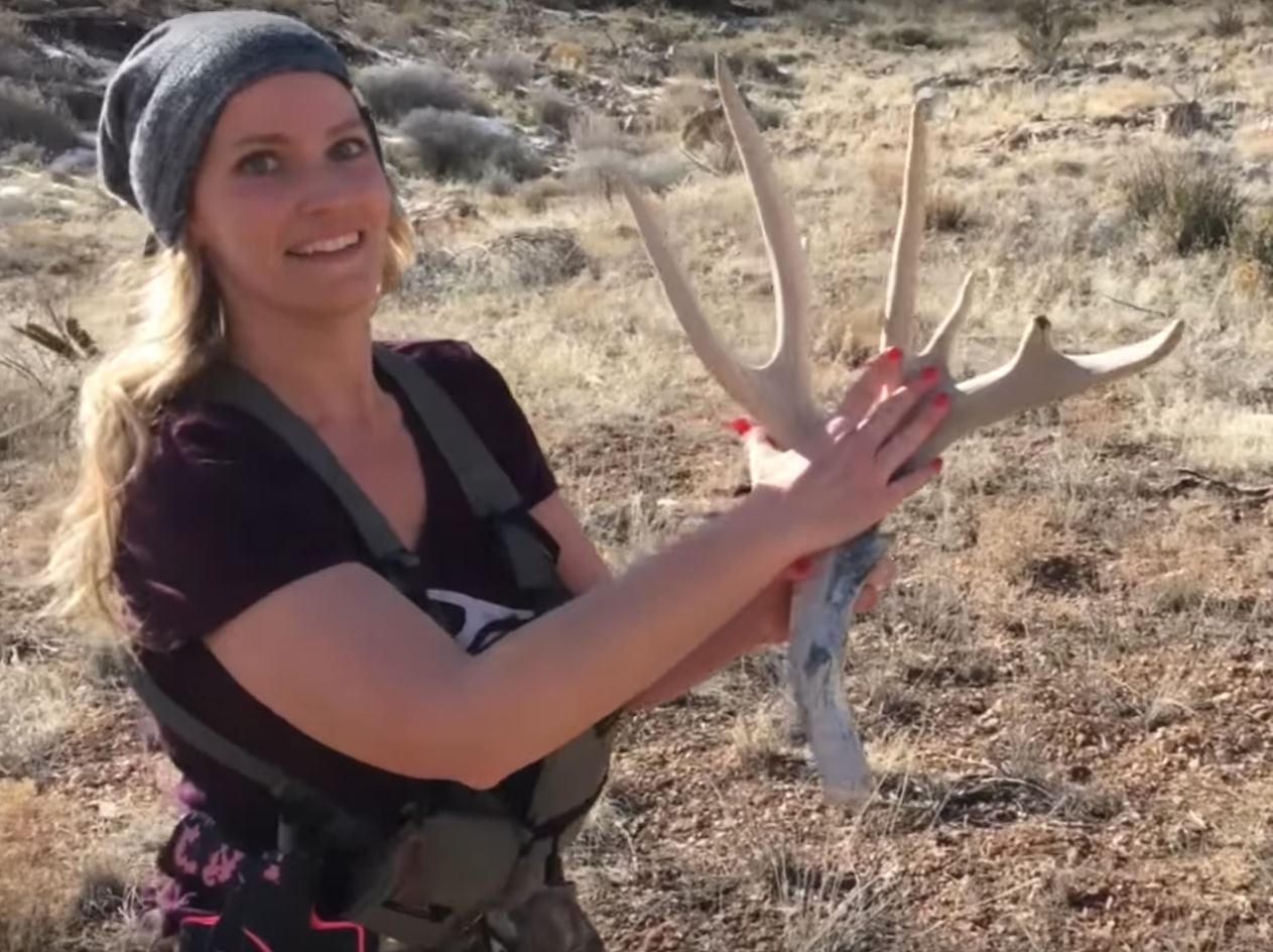 video: there's no such thing as finding too many shed