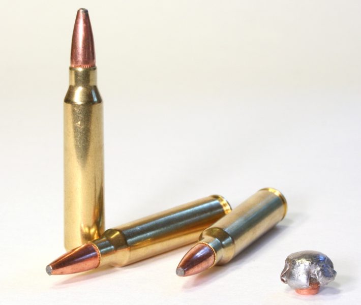 Best Deer Hunting Calibers for 2023