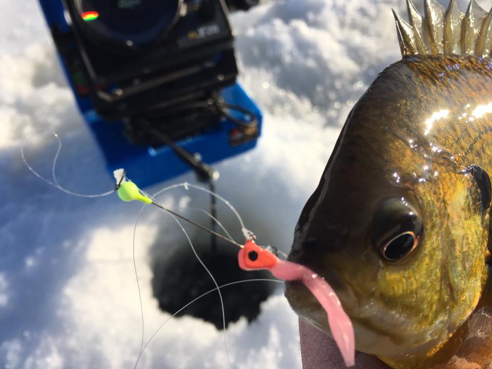 March Madness . . . For Ice Anglers | OutdoorHub