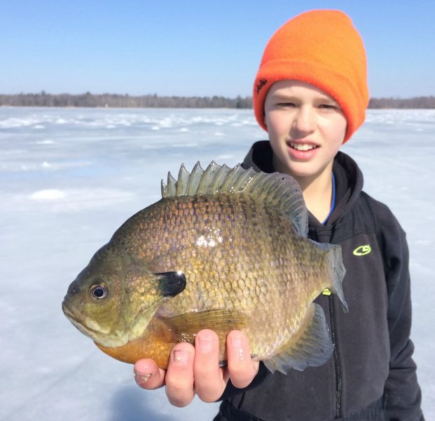 Panfish Rod Technology - The Right Tools for the Job — Joel Nelson Outdoors