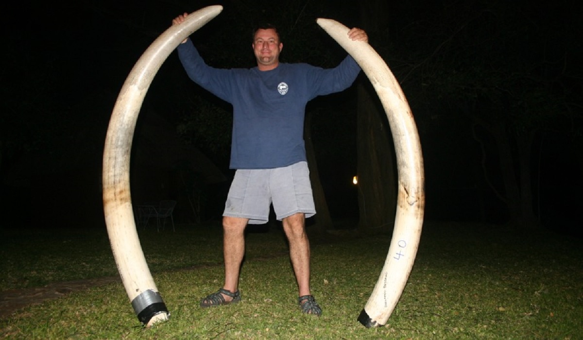 Animal Killer Crushed to Death by Elephant
