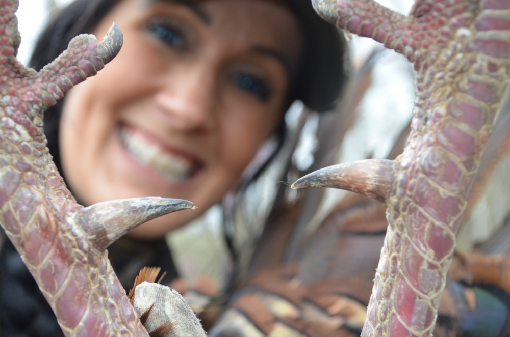 Video Hammering Spring Turkeys with Rage Broadheads OutdoorHub
