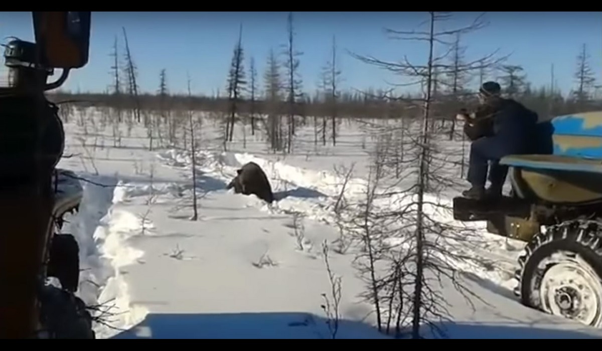 Graphic Video: Russian Truckers Maliciously Run Over Brown ...