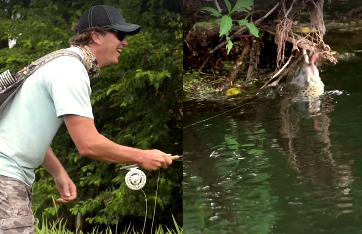 Video Fish Helps Free Lure That’s Snagged in a Tree OutdoorHub