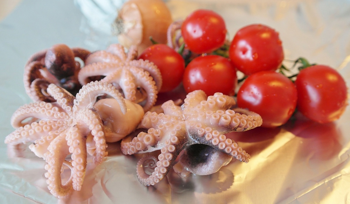 video-catch-and-eat-fresh-calamari-are-you-up-for-it-outdoorhub