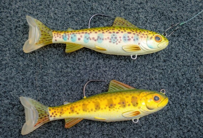 LIVETARGET® Rainbow Smelt Jerkbait