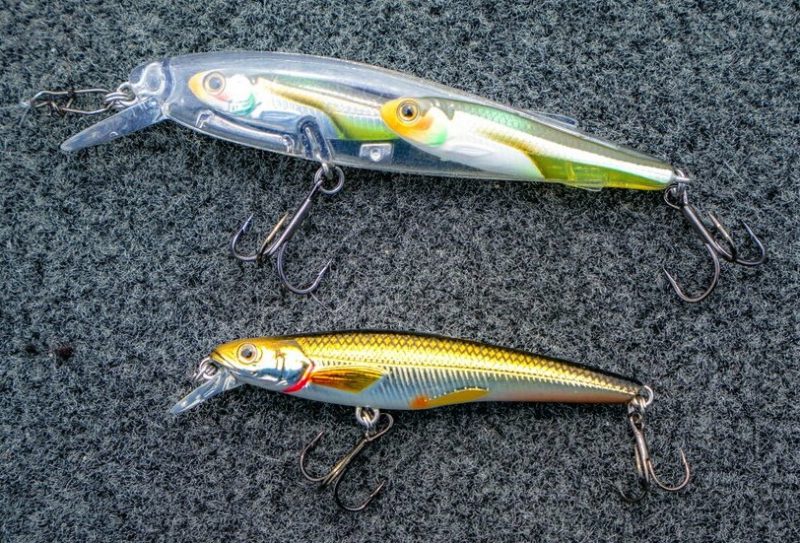 LIVETARGET® Rainbow Smelt Jerkbait