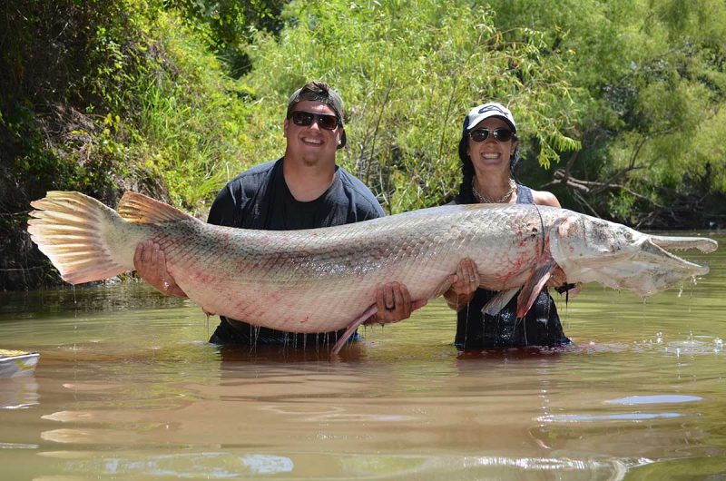 HOW TO : Alligator Gar of a Lifetime — with a Bow!