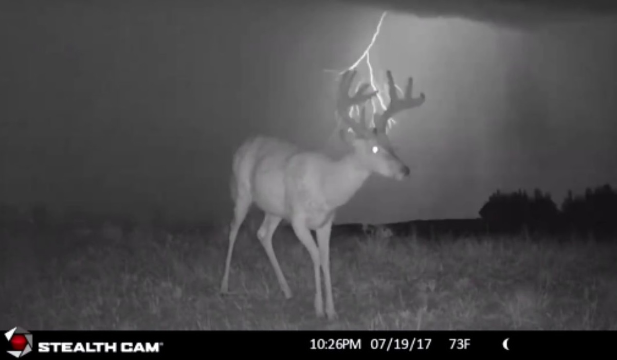 Crazy Cool Trail Cam Footage: Wicked Thunderstorm Blowing in Behind 9 ...