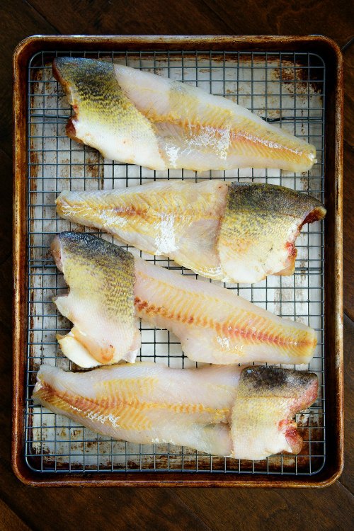 BestEver, FarmGirl Walleye Cakes OutdoorHub