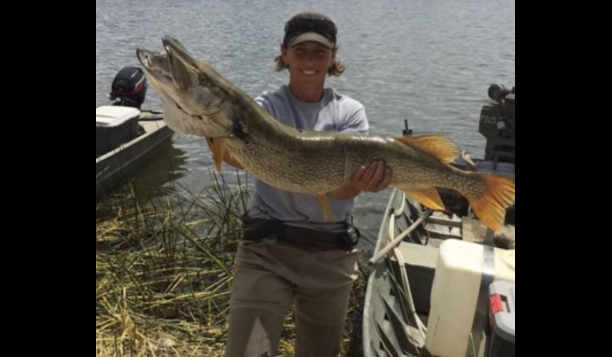 Reward Offered to Catch Illegal Fish Dumper OutdoorHub