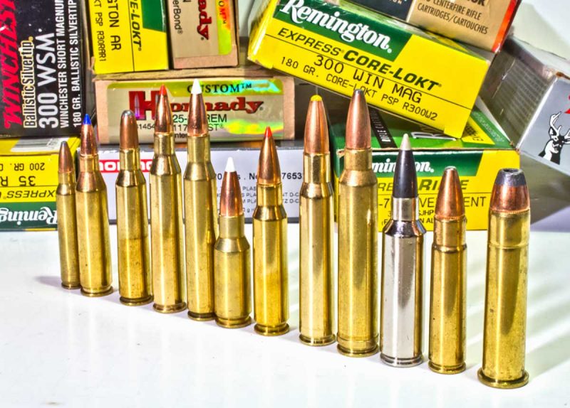 The .30-06 Cartridge Family