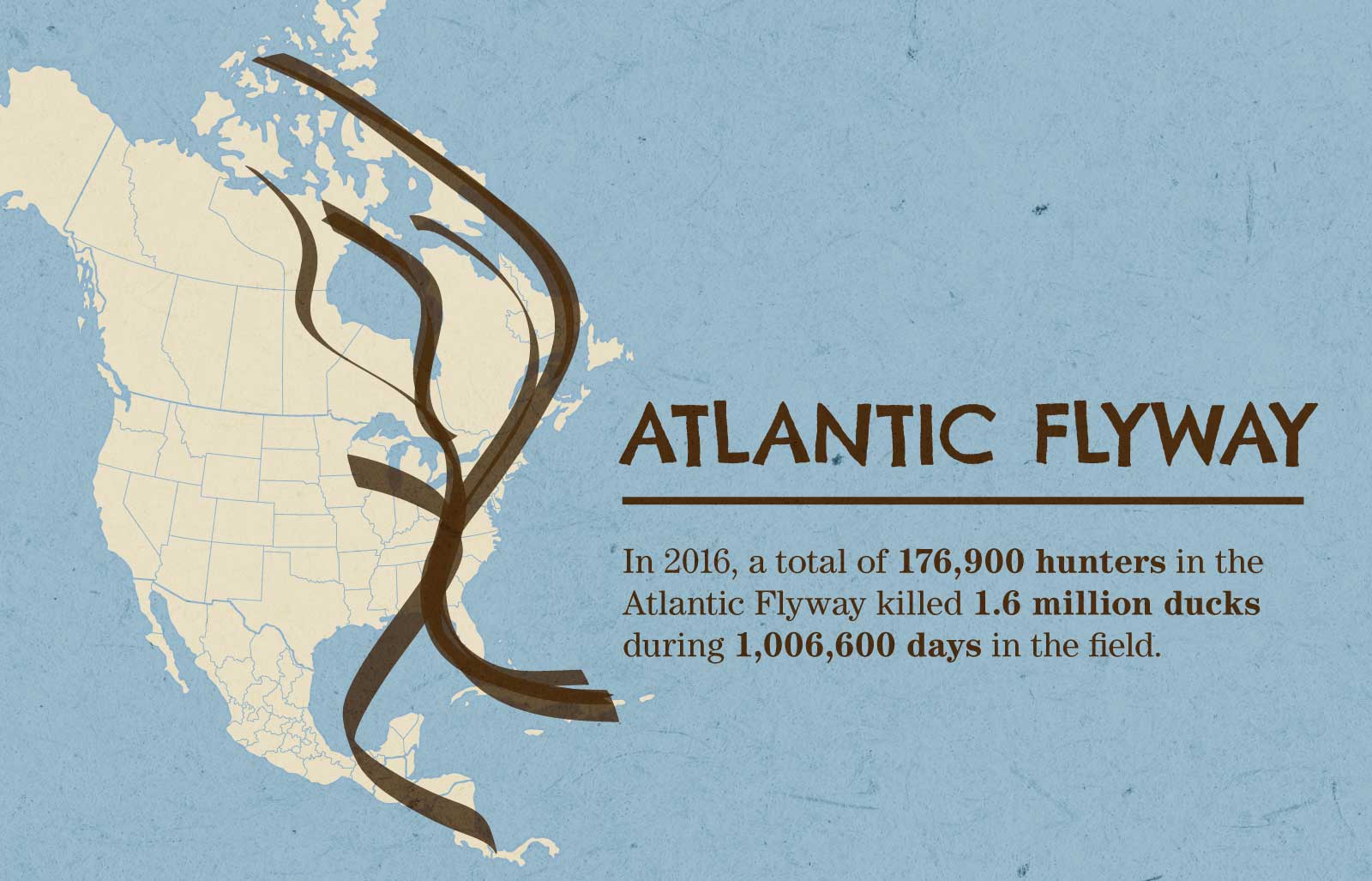Infographic: Waterfowl Flyways in North America | ActionHub