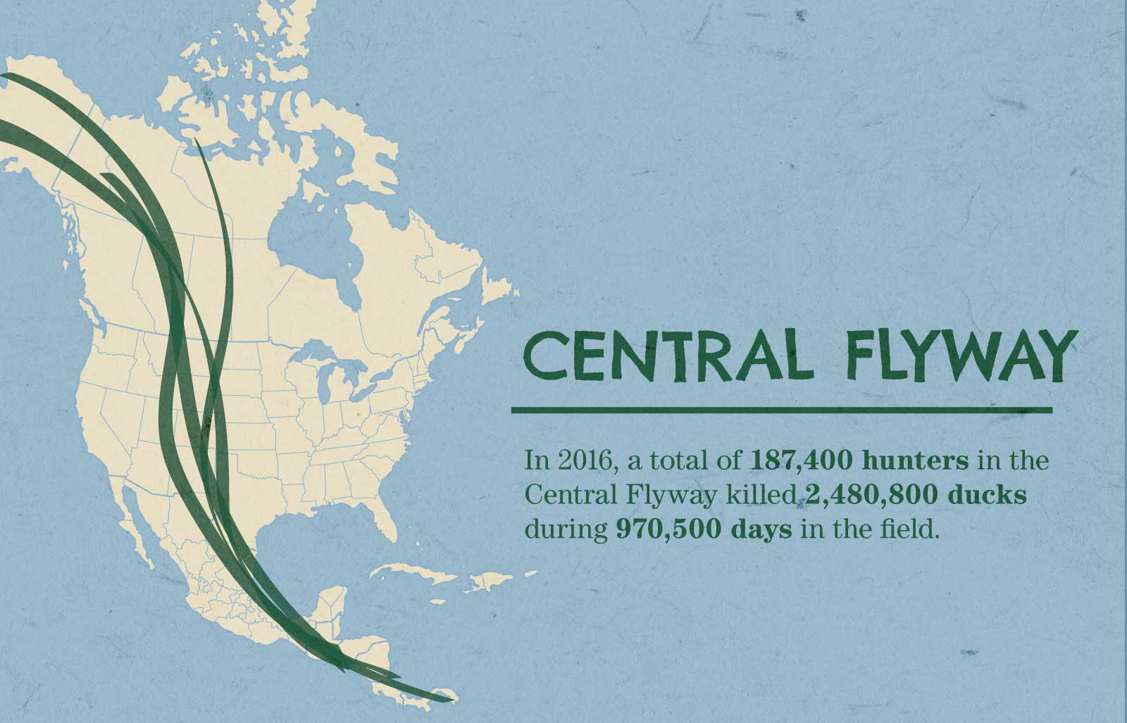 Infographic: Waterfowl Flyways in North America | OutdoorHub