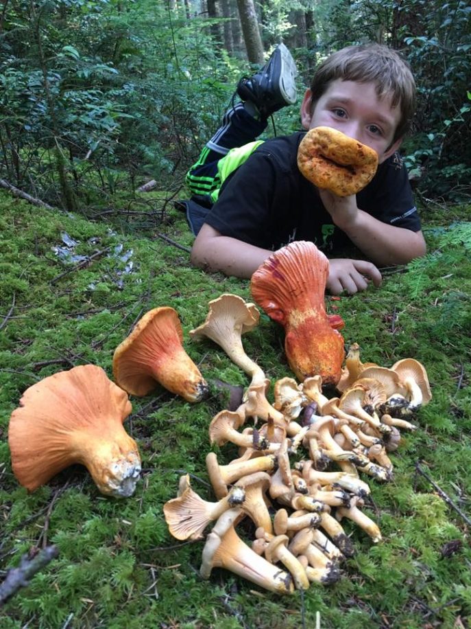 mushroom hunting trip