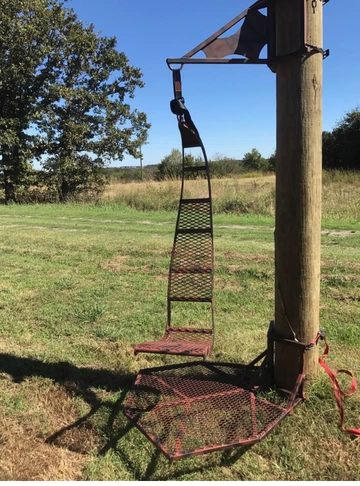 Tree Swing