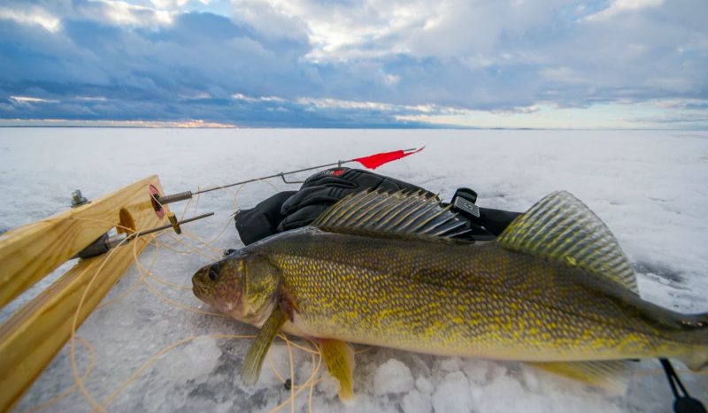 Ice Fishing SOLUTION for Rod Management - BeaverDam Fishing Bucket