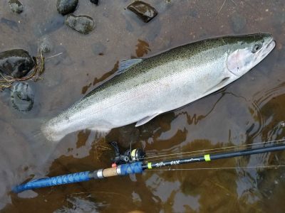 Floating for Winter Steelhead in the Pacific Northwest | OutdoorHub