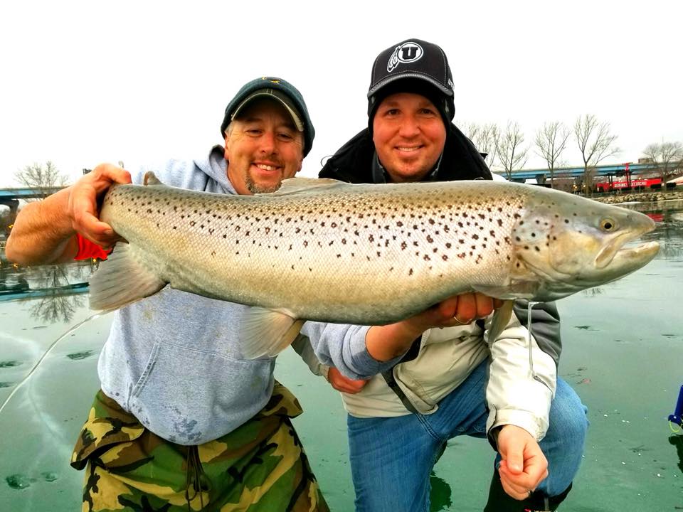 Crazy Video: Brown Trout Jumps from Open Water onto Lake Michigan Ice | OutdoorHub