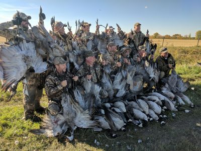 Sandhill Crane - Kaska Goose Lodge