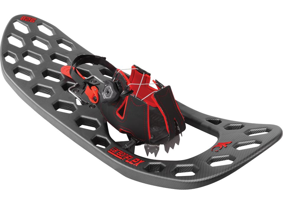 snow shoes at big 5