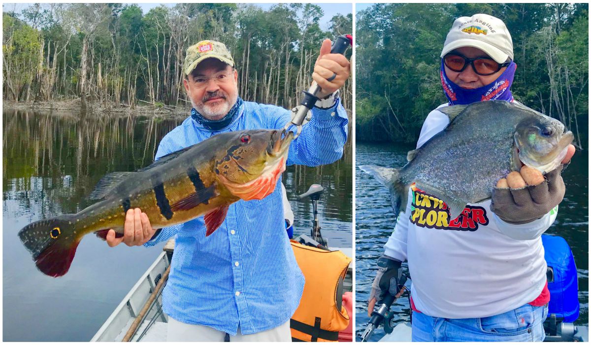 Brazil's World-Class Peacock Bass Fishing