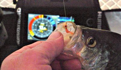 Ice Tactics for Mid- to Late-Winter Bluegills and Crappies