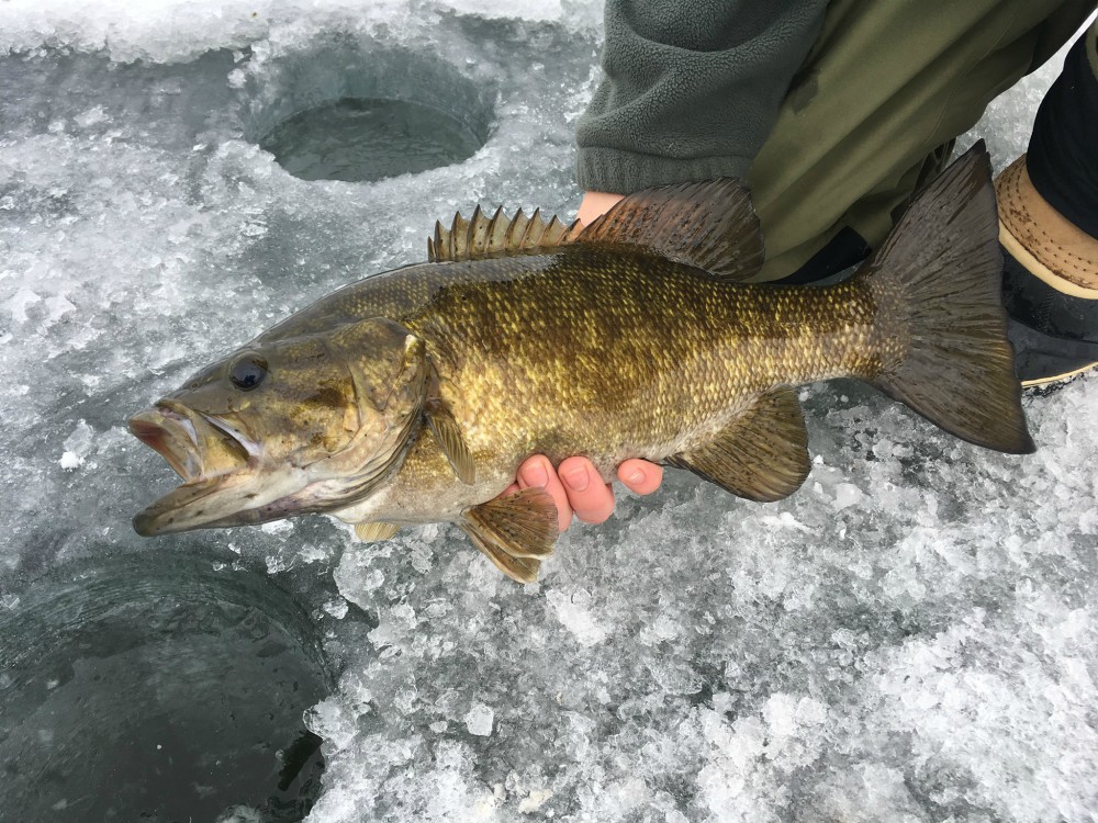 yaktrax icetrekkers diamond grip traction system