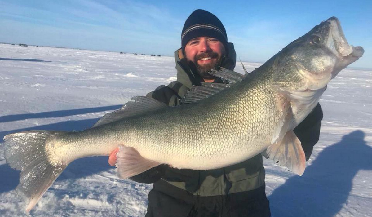 Walleye, pike aplenty at Burntwood Lake – Winnipeg Free Press