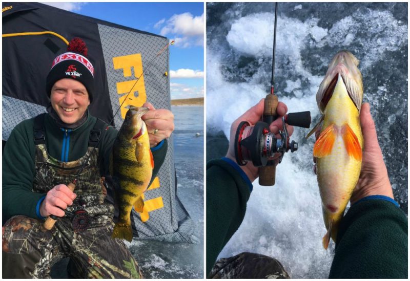 New VMC® Ice Tungsten Jigs Get To Fish Fast, ICE FORCE, Ice Fishing Blog