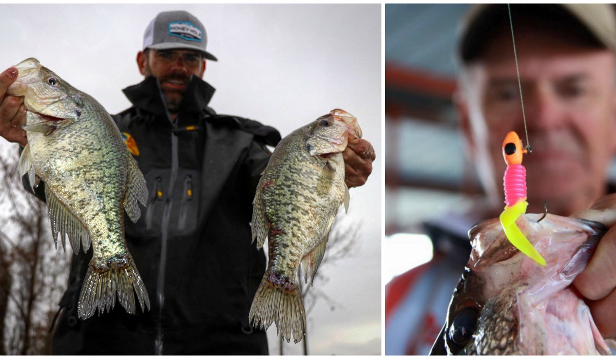 Video How to Choose Jighead Colors for Catching More Crappies OutdoorHub