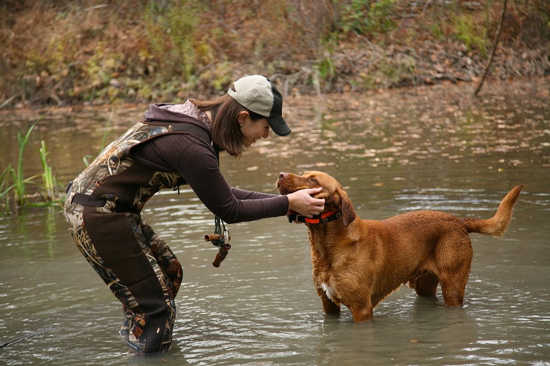 8 Surefire Ways to Ruin a Duck Hunting Dog