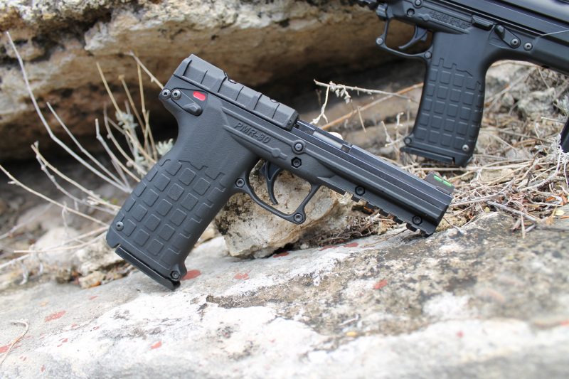 The Kel-Tec CMR 30 & Kel-Tec PMR 30: A combo gun package for the surv.....