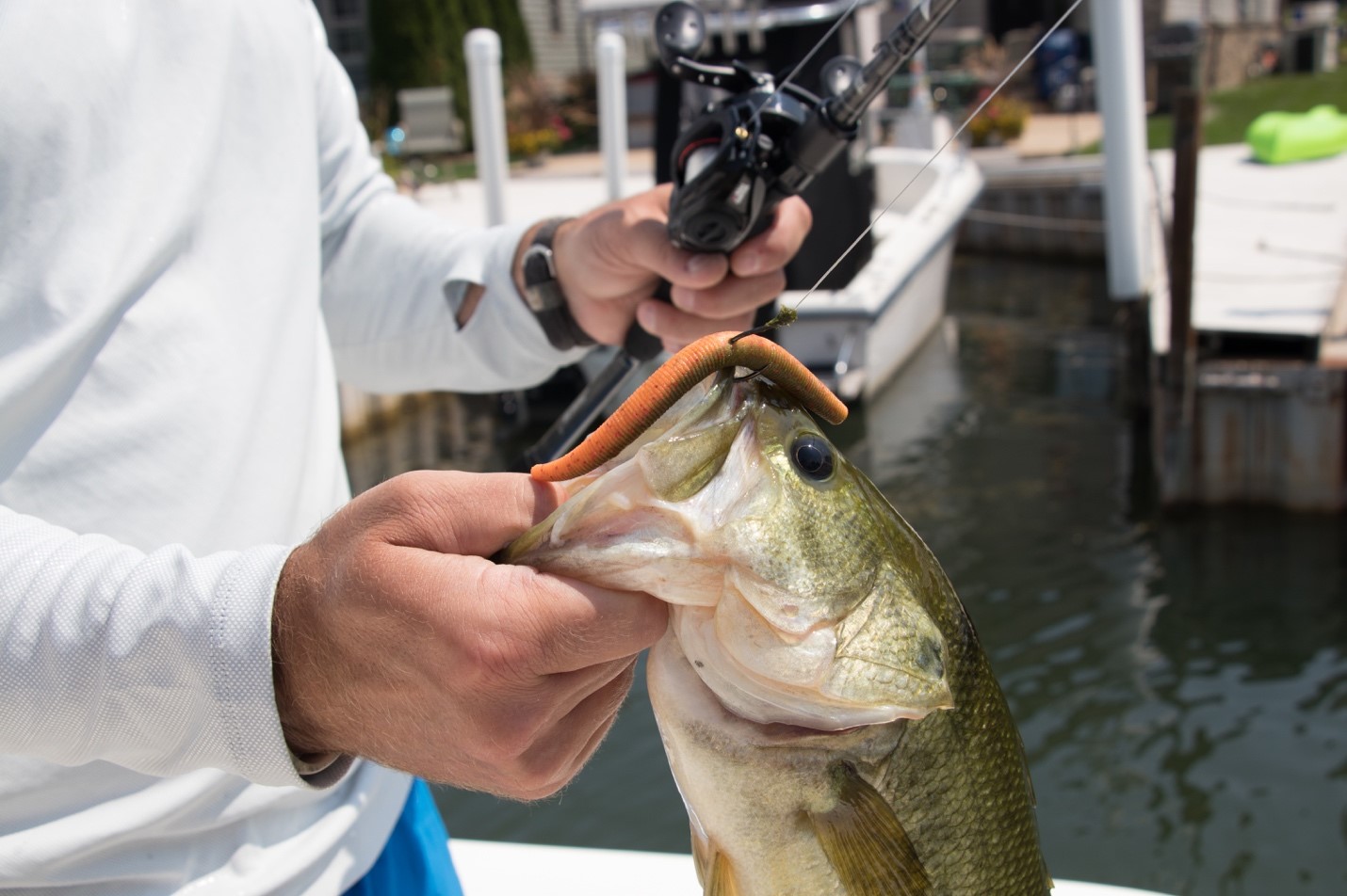 Big Water Summer Bass Fishing Techniques Part 3: Slow Fishing for Shallow  and Deep Water