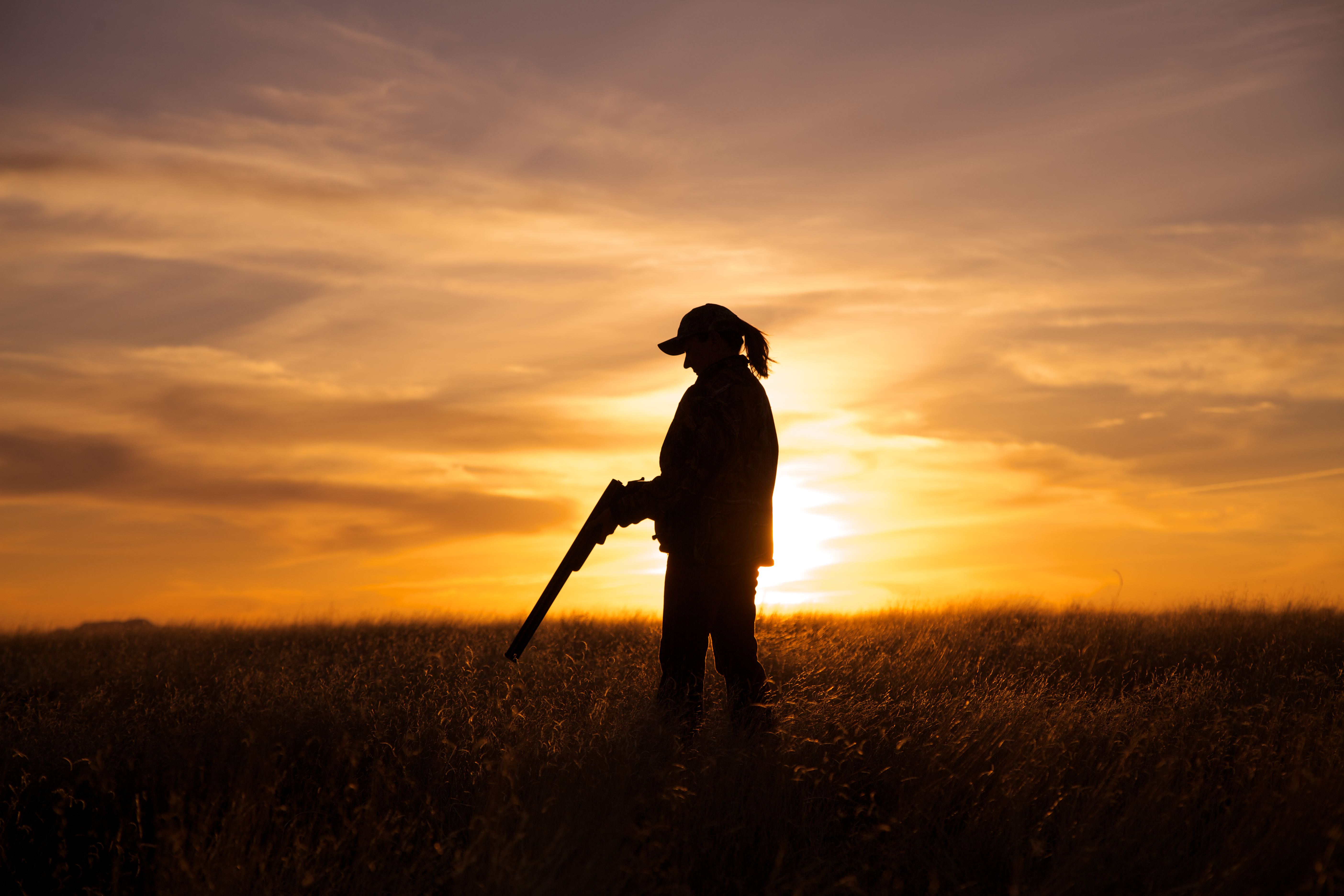 Pheasant Hunting