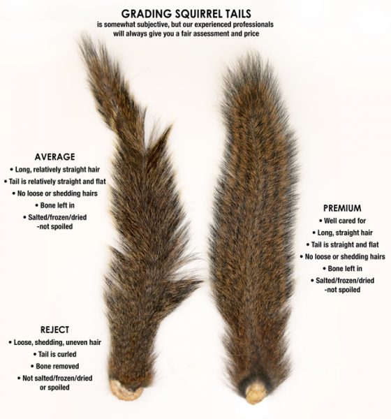 Recycle Squirrel Tails with the Mepps Squirrel Tail Program OutdoorHub