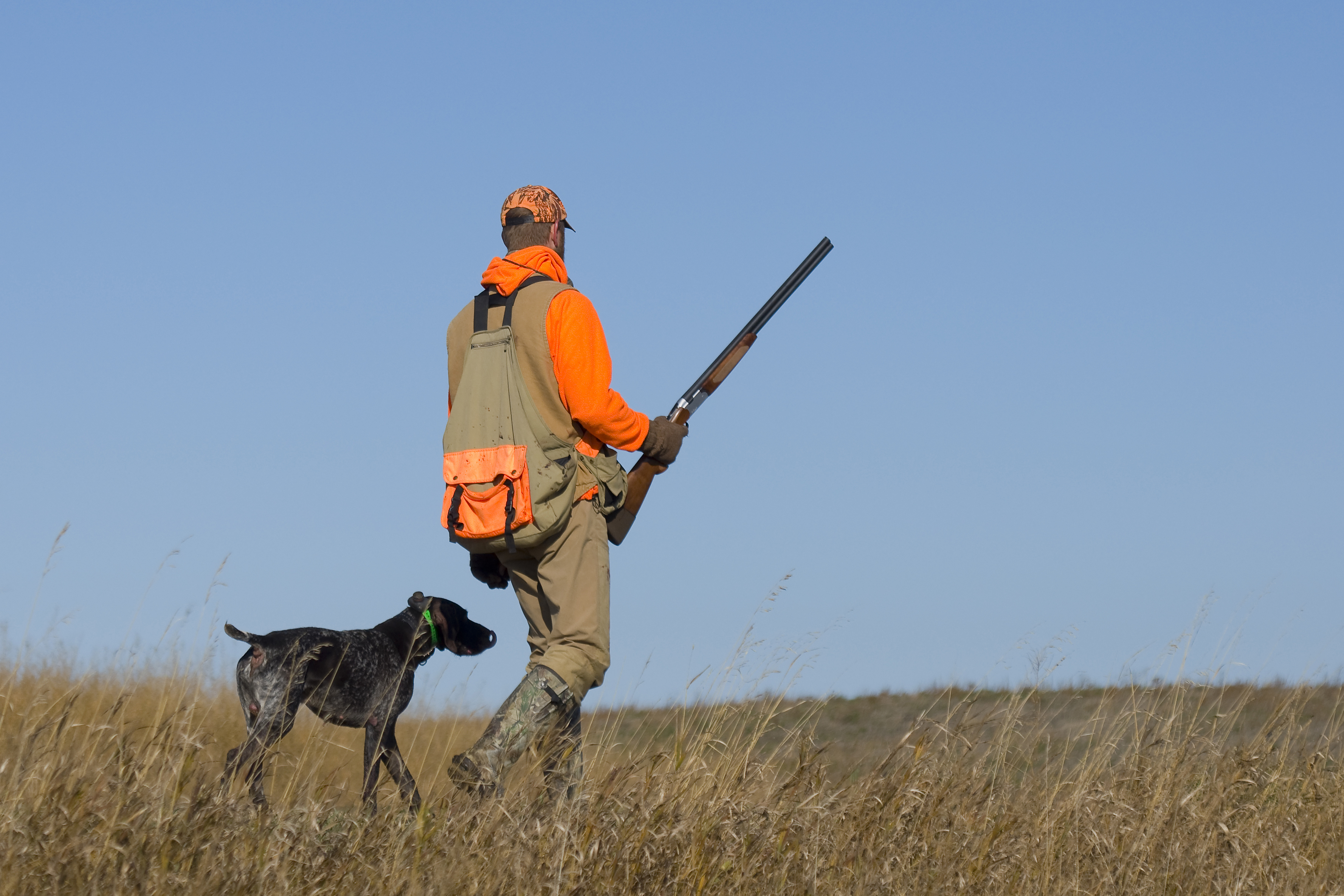 Best Grouse Hunting Gear