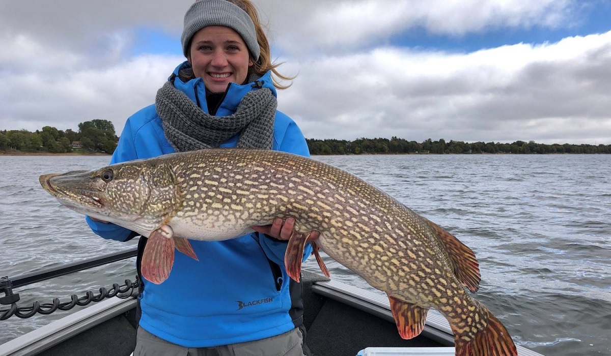 Angler Lands First CatchandRelease Record for Northern Pike in
