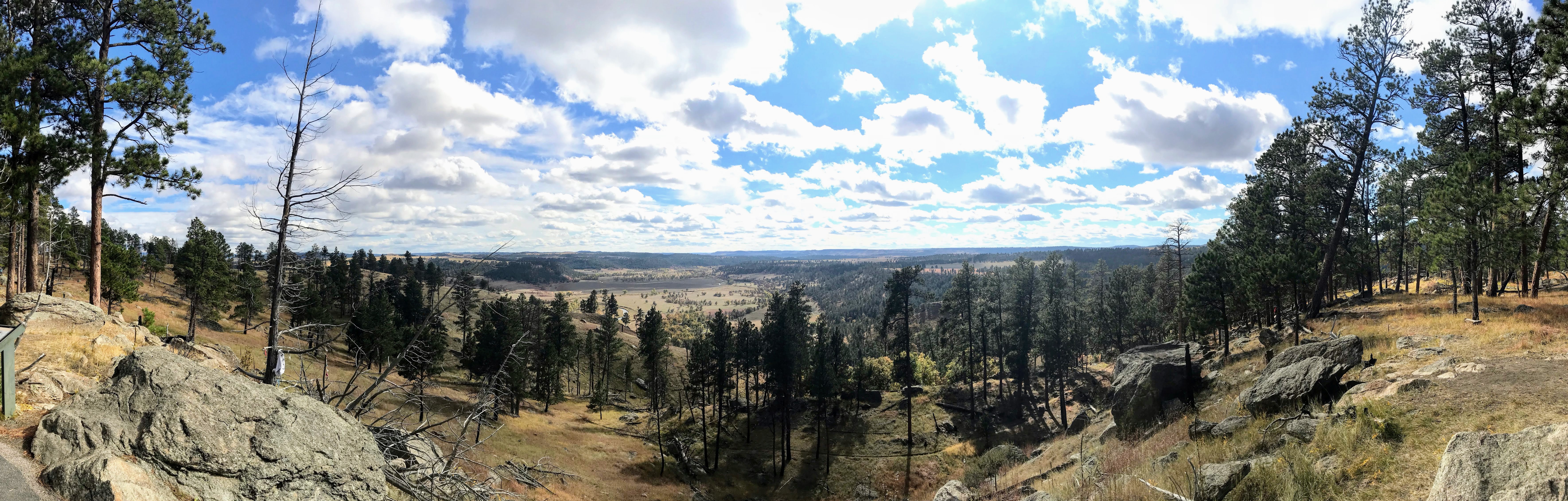 DIY Wyoming Antelope