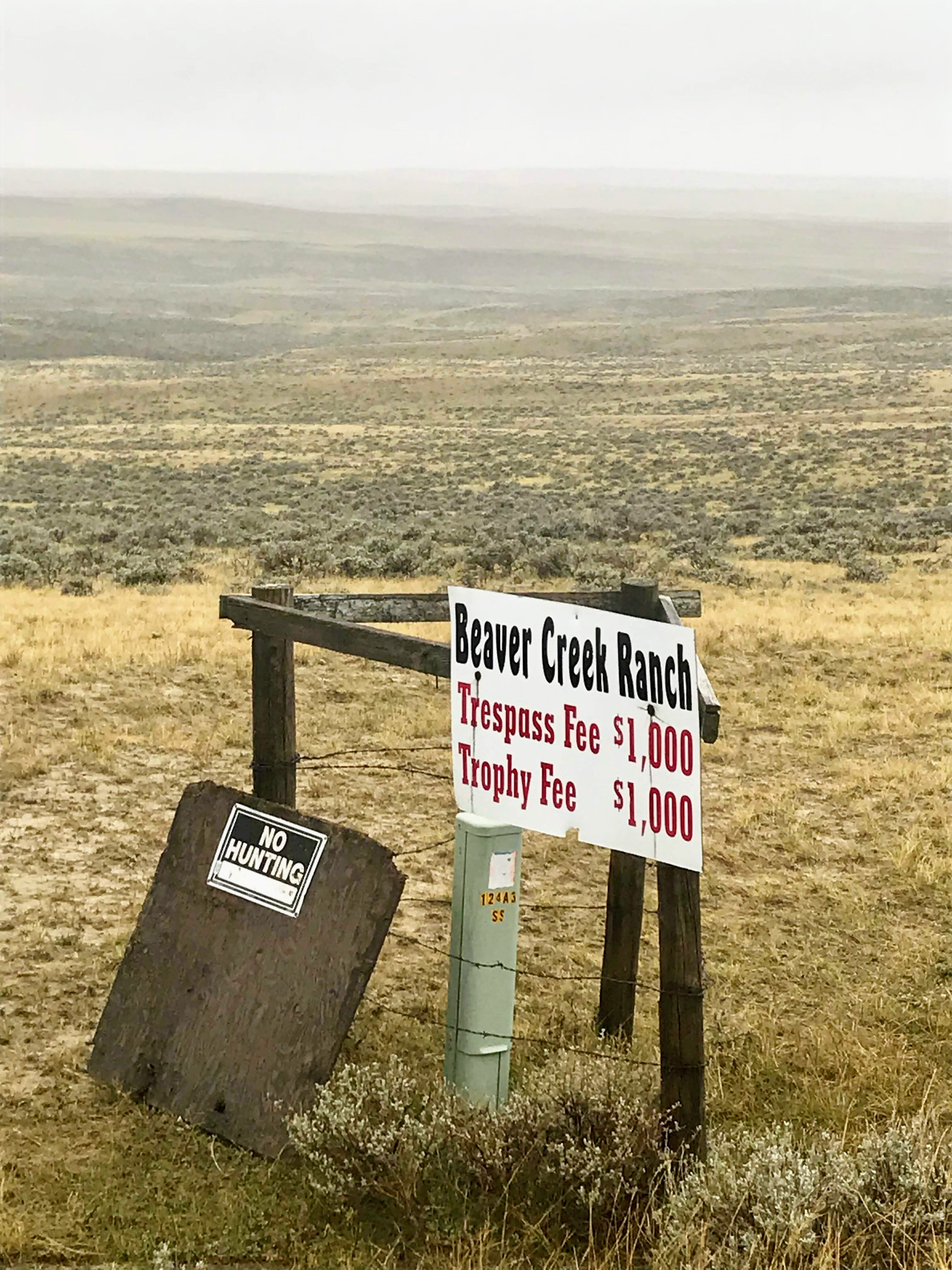 DIY Wyoming Antelope