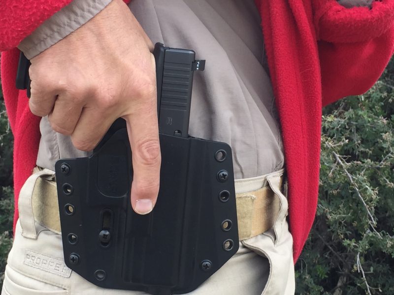 project stealth holster 2