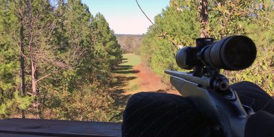 A great view from a Georgia deer stand.