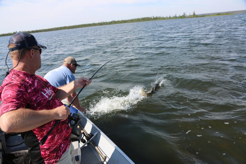 Saskatchewan Trophy pike 3